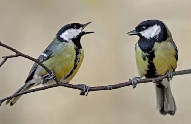 Orët biologjike: Si e di trupi ynë që koha po kalon?